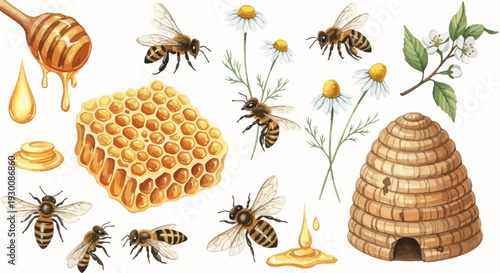 Watercolor bee and honey elements set for natural and organic product design