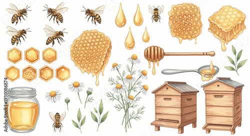 Watercolor bee and honey elements set for natural and organic product design