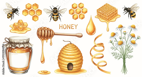 Watercolor bee and honey elements set for natural product design