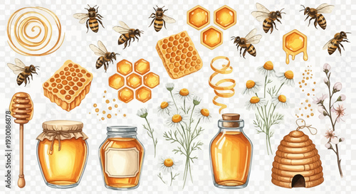 Watercolor bee and honey elements set for natural product design