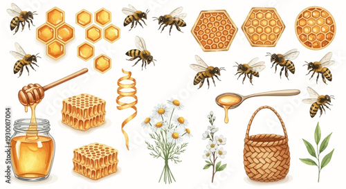 Watercolor bee and honeycomb collection illustrations isolated on white background