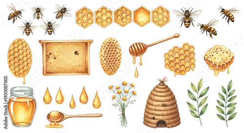 Watercolor bee and honeycomb collection illustrations isolated on white background