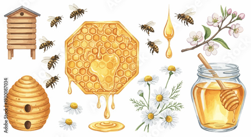 Watercolor bee and honey illustration with hive and honeycomb elements