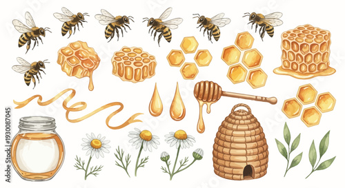 Watercolor bee and honeycombs elements illustration for design projects