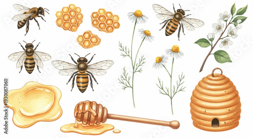 Watercolor bee elements honey honeycomb flowers and beehive design