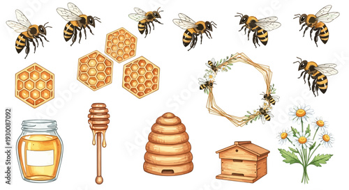 Watercolor bee hive elements for design projects illustration