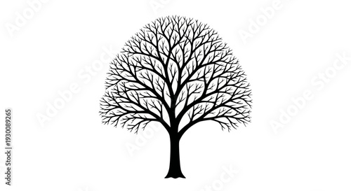 Retro kitchen whisk, simple line art icon illustration, isolated on white, cooking tool