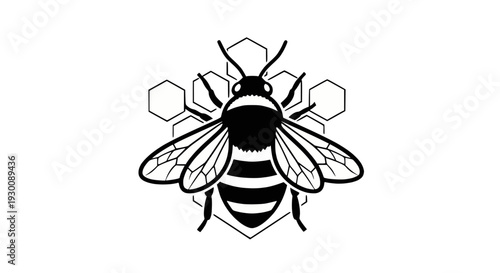 Modern, sleek stainless steel whisk isolated against a bright white backdrop, essential for any kitchen.