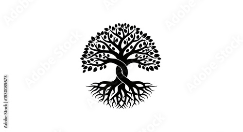 Clean Stainless Steel Whisk Isolated on White Background, Ready for Baking and Cooking