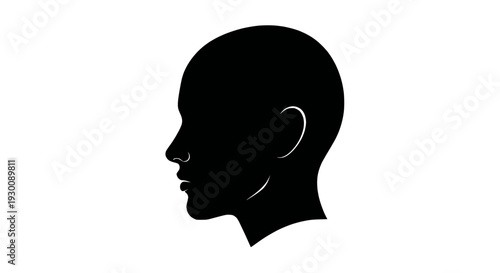 Colorful Whisk Set, Various Kitchen Tools for Baking and Cooking, Vector Illustration on White Background