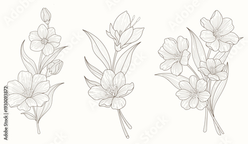 Elegant Hand Drawn Botanical Floral Sketch Set - Minimalist Fine Line Art Illustration of Spring Wildflowers for Wedding Invitations, Organic Branding and Professional Floral Design