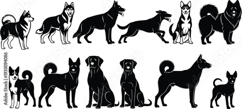 Set of various dog breed silhouettes in black and white vector illustration including husky shepherd labrador and terrier for pet design