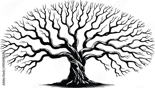 Black and White Illustration of Bare Winter Tree Minimal Line Art Vector Graphic