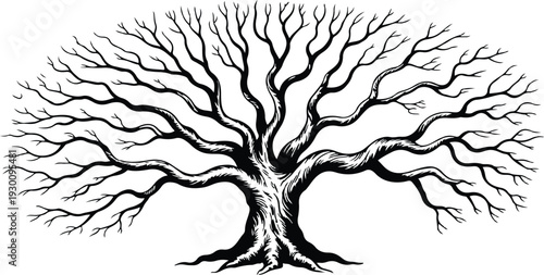Black and White Illustration of Bare Winter Tree Minimal Line Art Vector Graphic