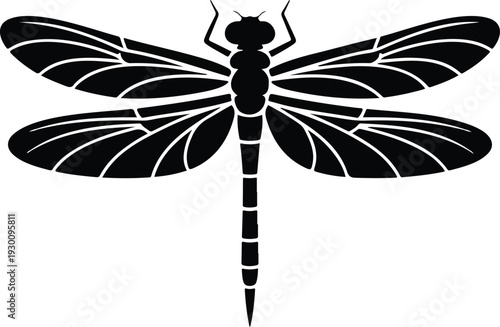 Black and White Dragonfly Silhouette Minimal Vector Illustration with Detailed Wings