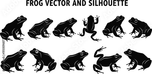 Frog vector and silhouette icon set with various poses and positions isolated on white background for nature wildlife and biology