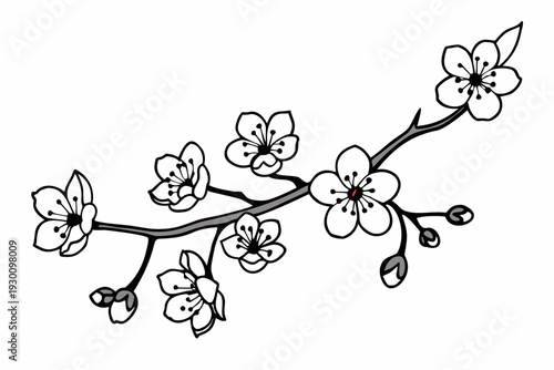 A simple and clean black and white line art illustration of a small cherry blossom branch featuring several open flowers and developing buds.