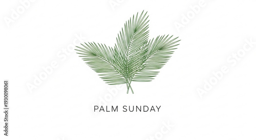 Palm sunday symbol with green palm leaves on white background representing christian holiday and tradition