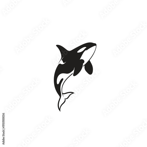 Stylized black and white killer whale jumping illustration