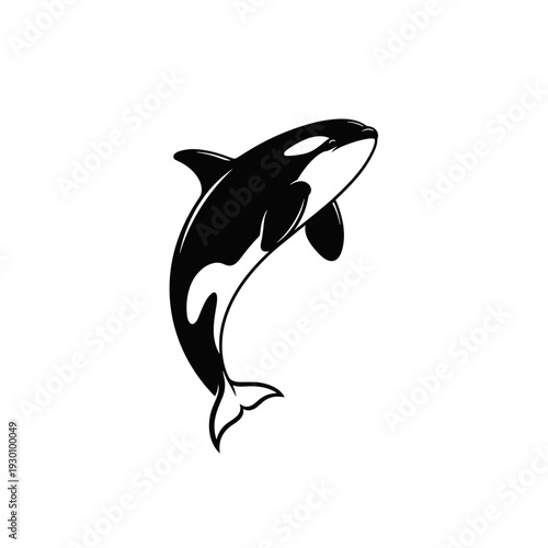 Stylized black and white killer whale leaping in graphic illustration