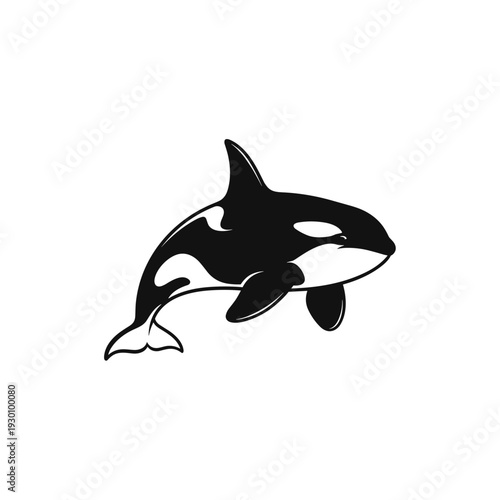 Stylized black and white killer whale orca illustration