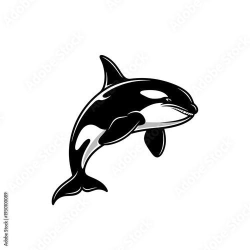 Stylized black and white killer whale orca jumping illustration
