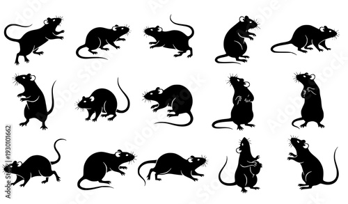 Active rat silhouette vector set playing running jumping rodent shapes isolated
