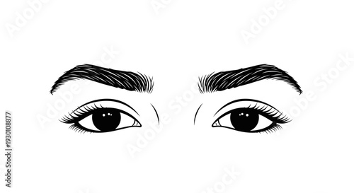 Detailed line art illustration of expressive human eyes and natural eyebrows with defined lashes