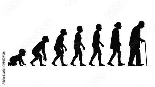 Evolution of humans from ape to elderly man isolated on white background, Vector