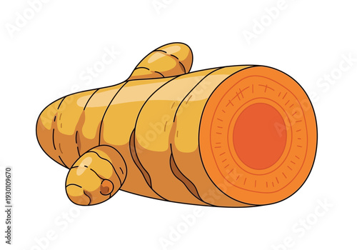 Turmeric Roots Ginger Spice Ingredient Fresh.