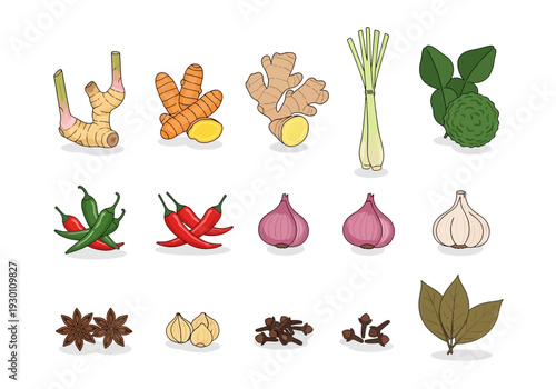Various Spices and Herbs for Cooking.