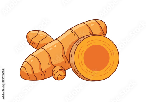 Turmeric Roots Cut Open Illustration.