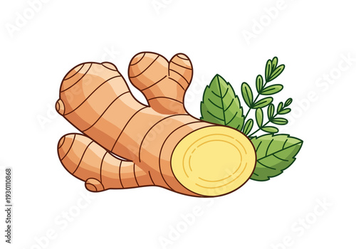 Turmeric Roots with Leaves Illustration.