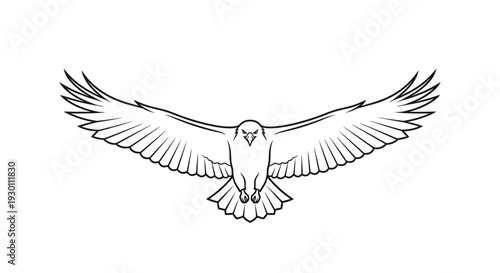 Eagle flying with outstretched wings black outline illustration