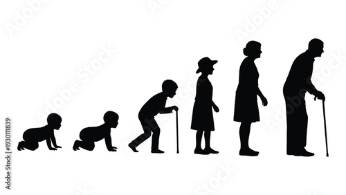 Human life stages from infancy to old age in silhouette isolated on white background, Vector