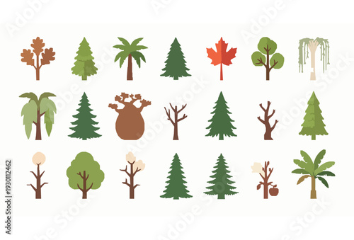 Diverse Tree Species Flat Vector Set Isolated on White Background Botanical Collection
