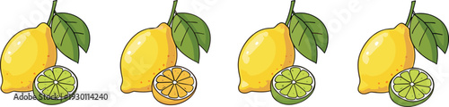 Cute Hand Drawn Lemon and Lime Citrus Fruit Vector Set with Fresh Slices and Green Leaves Illustration
