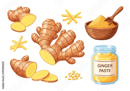 Ginger Roots and Ginger Paste Illustration.