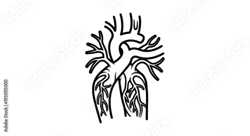 Stylized anatomical heart illustration with branching blood vessels depicting human circulatory