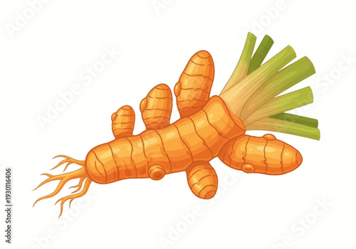 Fresh Organic Carrot with Green Leaves.