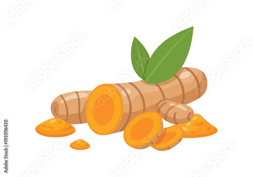 Turmeric Root Slices and Powder Illustration.