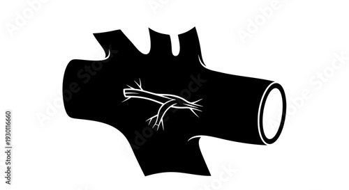 Detailed monochromatic illustration of an internal biological branching conduit system