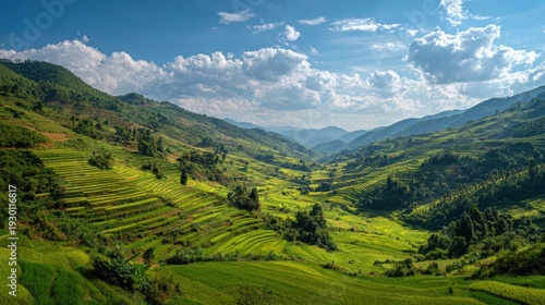 Green rice terraces covering mountain slopes under a vibrant sky with clouds