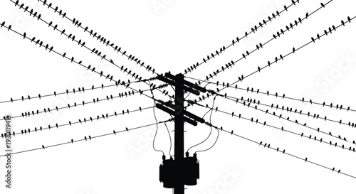 Silhouette of utility pole with power lines, perched birds, electrical distribution system, urban infrastructure, symmetry, nature contrast, everyday scene, illustration