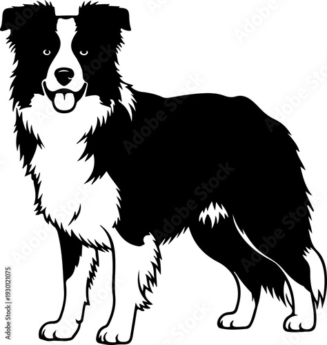 Border collie silhouette vector illustration