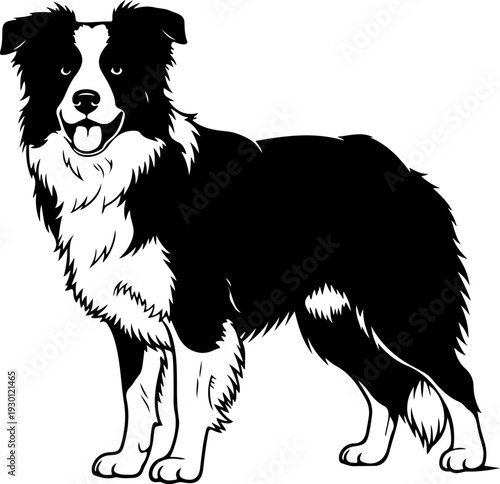 Border collie silhouette vector illustration