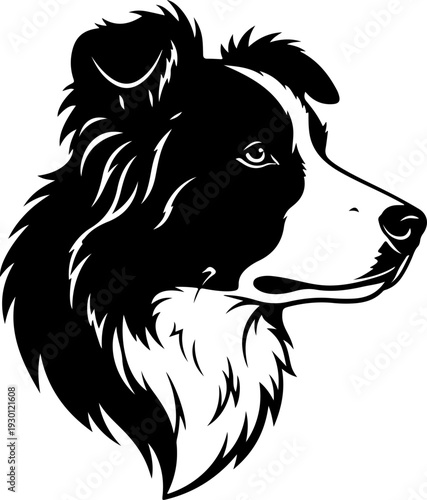 Border collie silhouette vector illustration