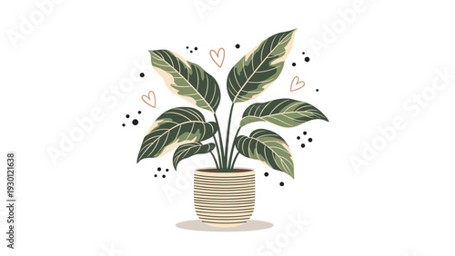 Indoor potted houseplant with large variegated green and white leaves sitting in a striped ceramic container with floating hearts.