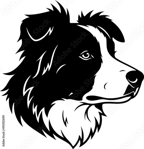Border collie silhouette vector illustration