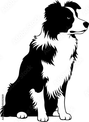 Border collie silhouette vector illustration